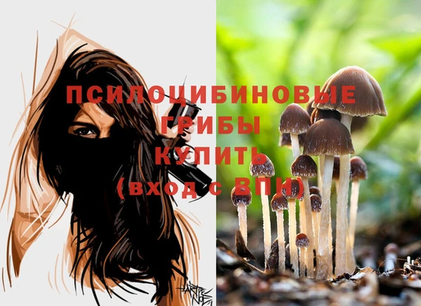 2c-b Балабаново