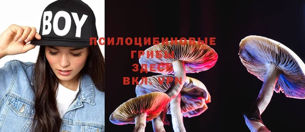 2c-b Балабаново