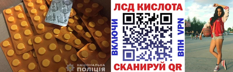 как найти   Новоульяновск  LSD-25 экстази ecstasy 
