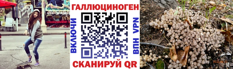 купить закладку  Новоульяновск  Псилоцибиновые грибы прущие грибы 